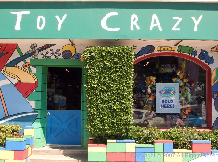 Toy Crazy store